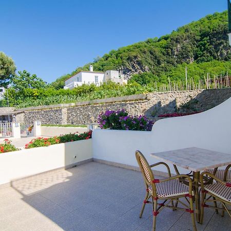 La Capannina - Hotel & Apartments Ischia Zewnętrze zdjęcie