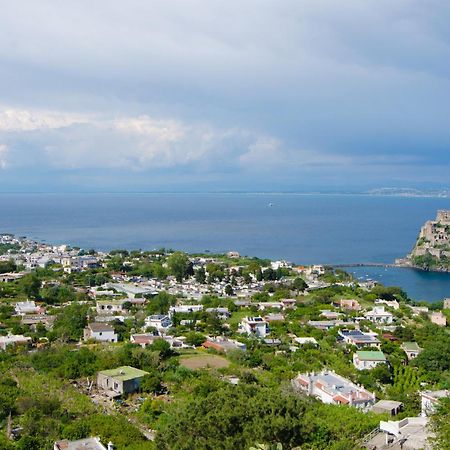 La Capannina - Hotel & Apartments Ischia Zewnętrze zdjęcie