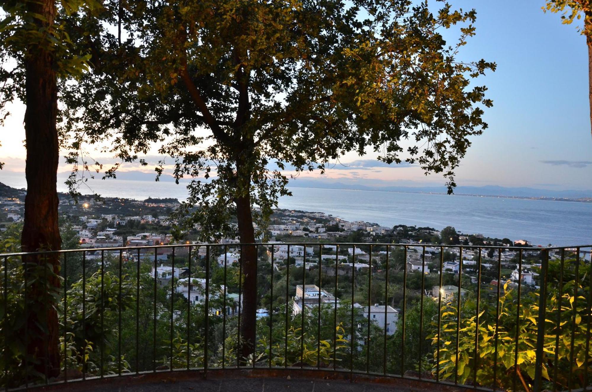 La Capannina - Hotel & Apartments Ischia Zewnętrze zdjęcie