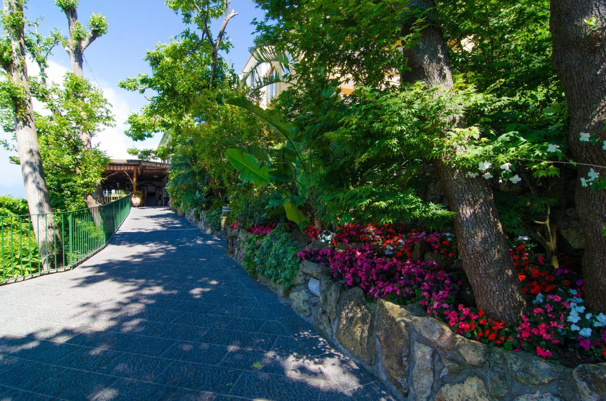La Capannina - Hotel & Apartments Ischia Zewnętrze zdjęcie